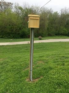 birdhouse2.jpg birdhouse2.jpg